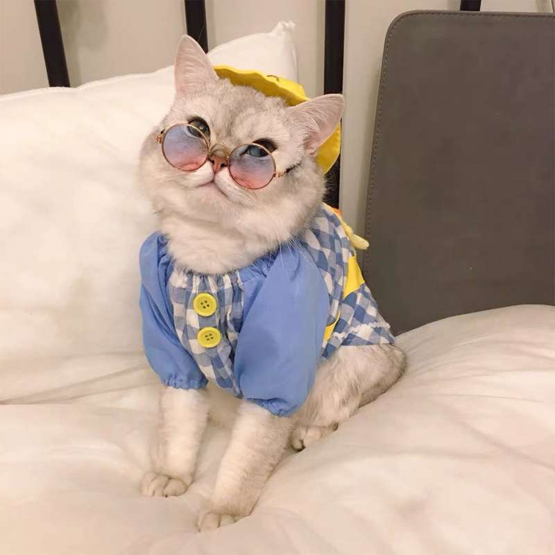 猫 洋服 | 猫用チェック柄オーバーオール