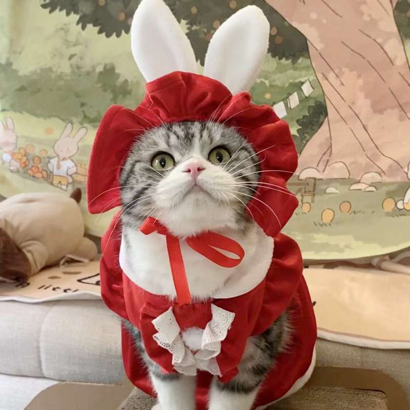 猫 コスプレ | メイド風フリルドレス猫用コスチューム