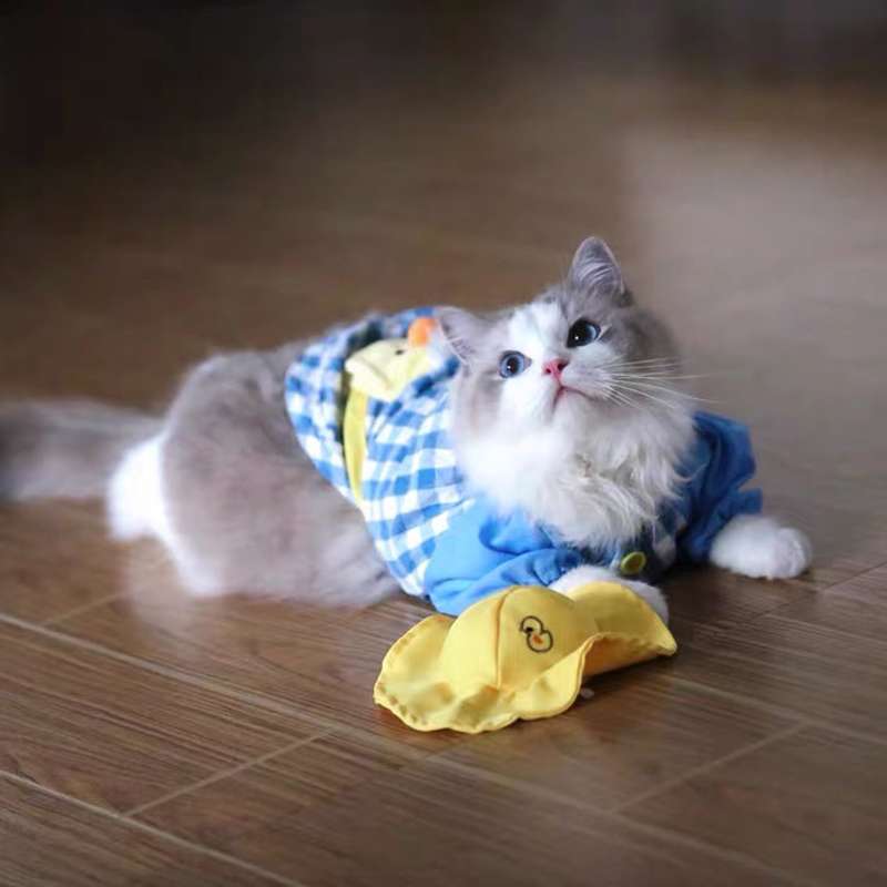 猫 洋服 | 猫用チェック柄オーバーオール