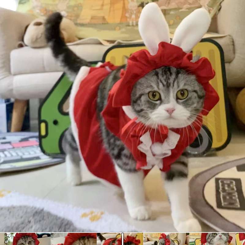 猫 コスプレ | メイド風フリルドレス猫用コスチューム